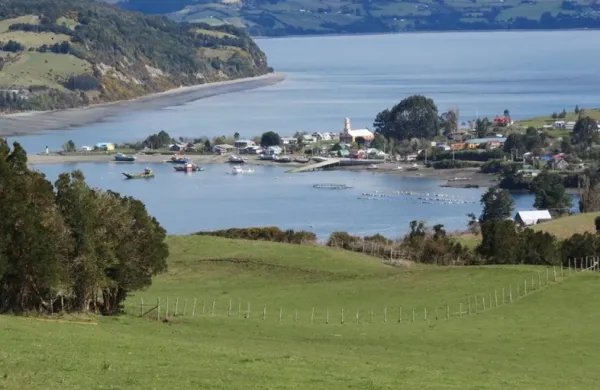 Corte Suprema rechaza acción publiciana y reivindicación de propiedad | Abogados en Puerto Montt - Servicios y Asesorías Legales Puerto Montt